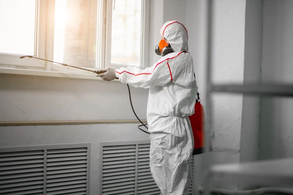 Professional mold remediation services in Dodge Center, MN